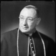 A6481